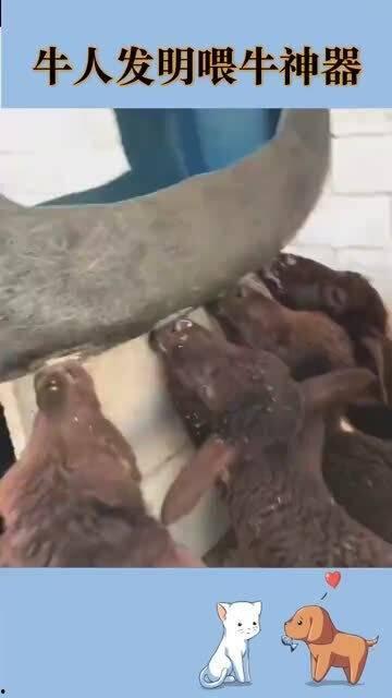 民间牛人发明视频,奇思妙想发明视频大盘点